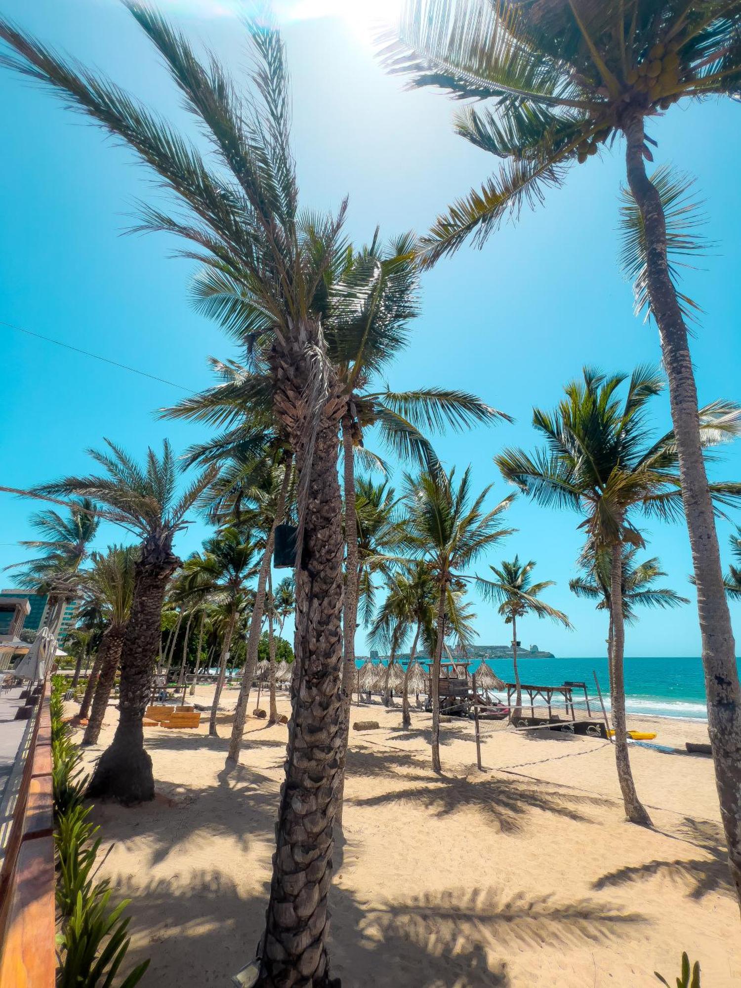 Tibisay Hotel Boutique Margarita بورلامار المظهر الخارجي الصورة